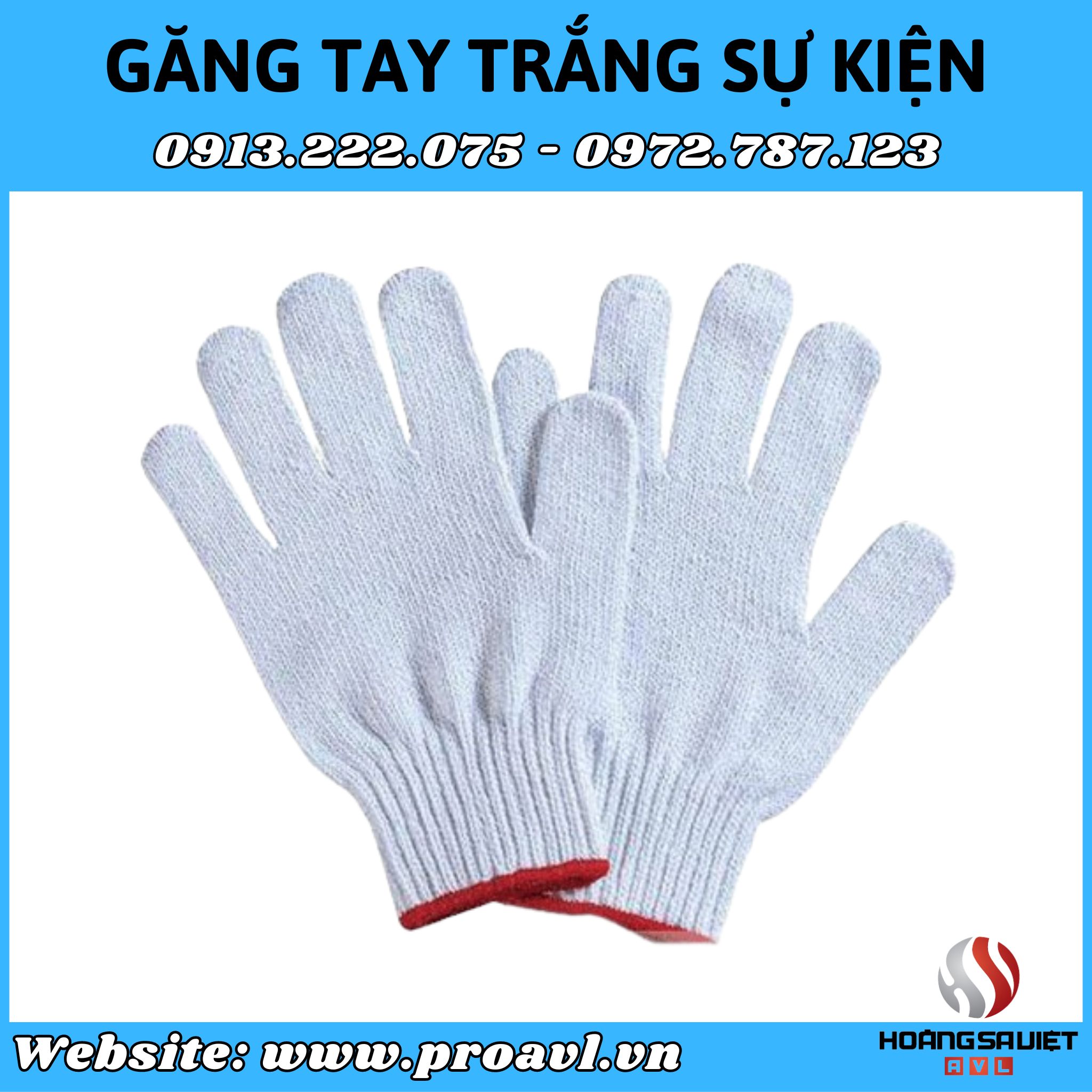 Cho thuê găng tay trắng chất lượng tại Hà Nội