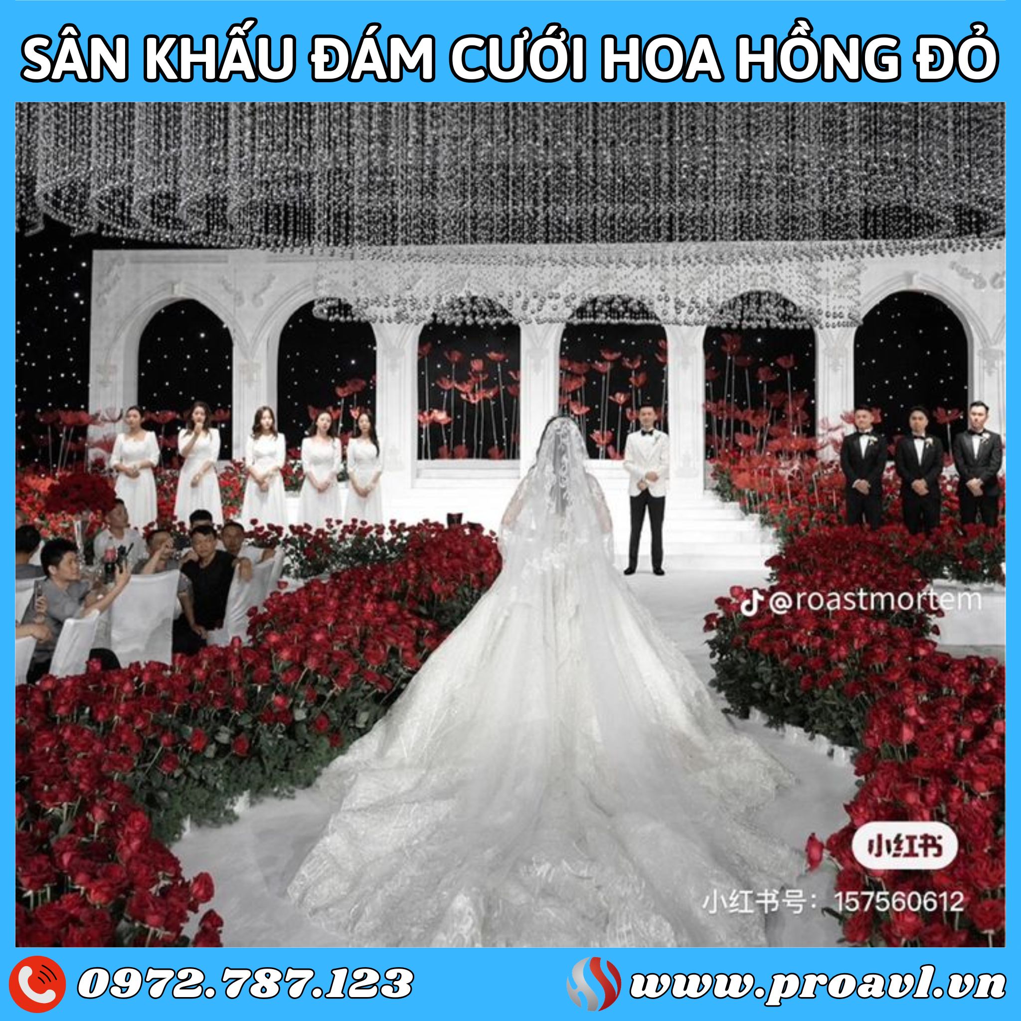 Hoa hồng đỏ đám cưới