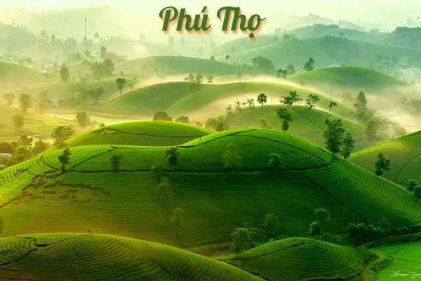 Phú Thọ