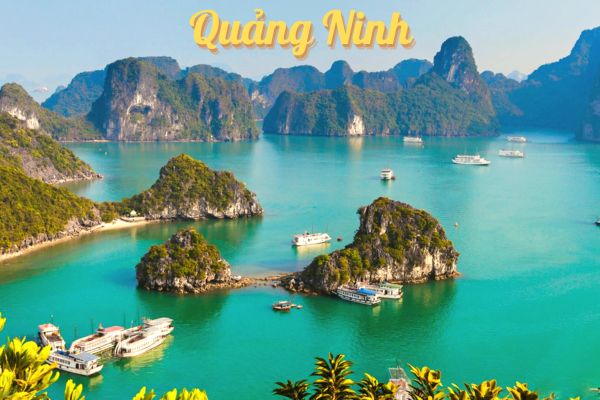 Quảng Ninh