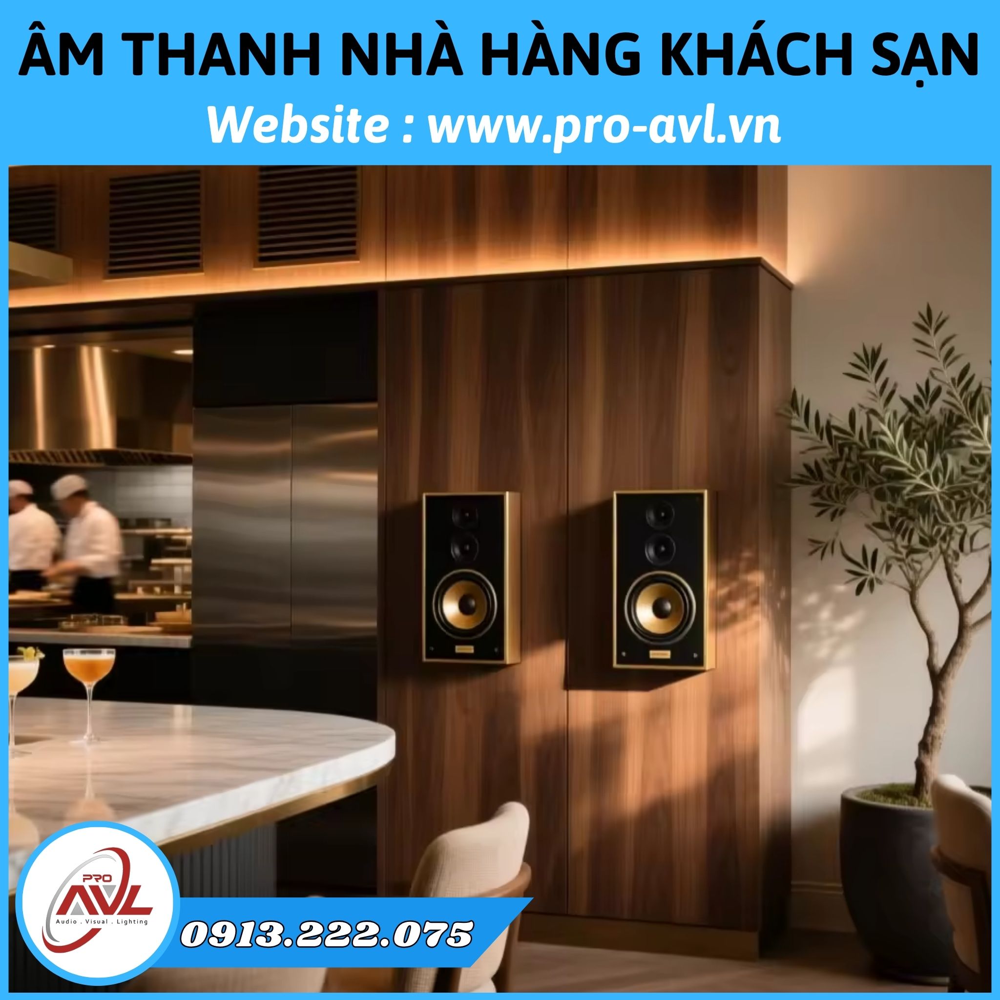 Complete Sound System Installation for Restaurants and Hotels Complete Sound System Installation for Restaurants and Hotels