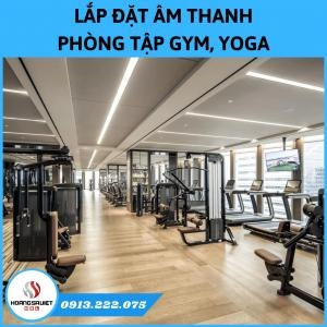 Modern Gym, Yoga, Fitness Room Sound Installation