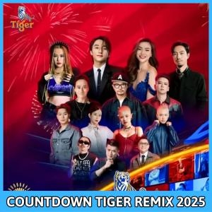 SƠN TÙNG M-TP | COUNTDOWN TIGER REMIX 2025 – 10 NĂM GẦM VANG BẢN LĨNH
