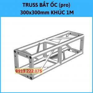 Aluminum Truss Frame 300X300mm Pro Section 1M