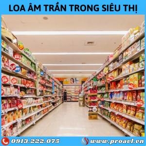 Installing the Best Supermarket Sound System and Supermarket Speakers