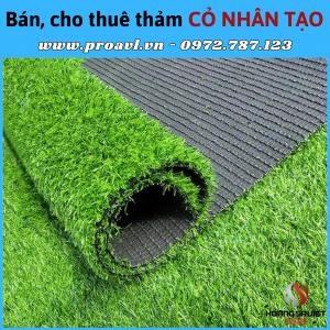 Event Red Carpet Sales & Rental in Hanoi