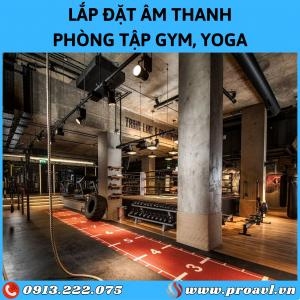 Modern Gym, Yoga, Fitness Room Sound Installation